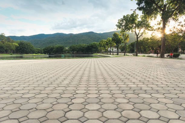 Best Driveway Paving Contractor  in Manche Village, CA