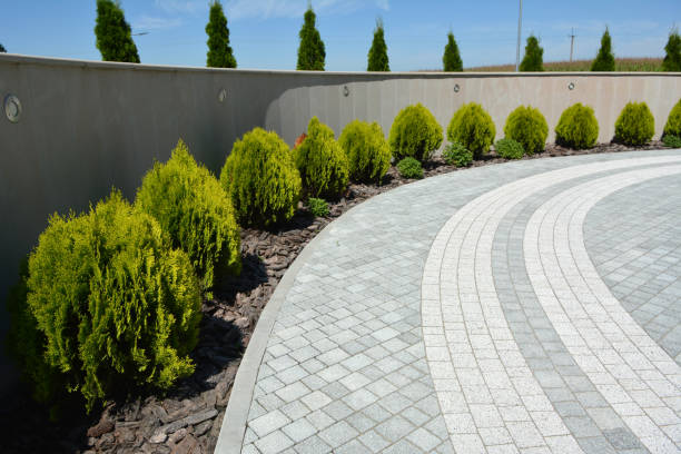 Best Driveway Repair Near Me  in Manche Village, CA